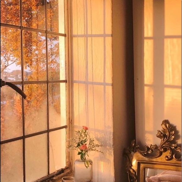 CLOSET CLEAR OUT - Picture 1 of 1